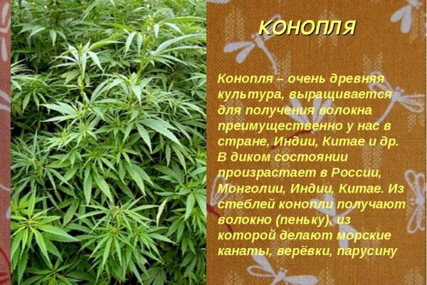 Как зарегаться в кракен