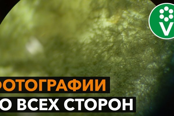 Кракен ссылка trikky